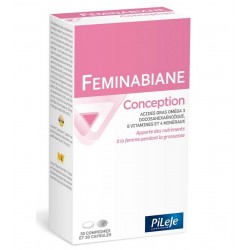 Pileje Feminabiane Conception 30 Comprimés 30 Capsules 3401560255355