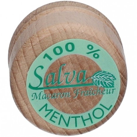 Salva Macaron Fraîcheur Menthol 7 g 3401560567281