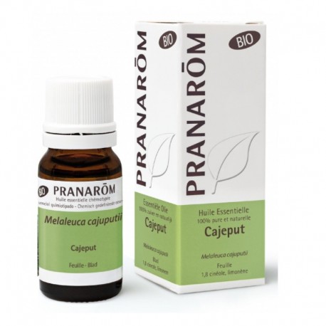 Pranarôm Huile Essentielle Cajeput Bio 10 ml 5420008507717