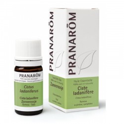Pranarôm Essential Oil Cistus Ladanifera 5 ml 5420008573286