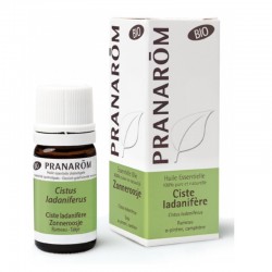 Pranarôm Essential Oil Cistus Ladanifera Organic 5 ml 5420008574498