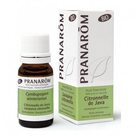 Pranarôm Essential Oil Citronella Java Organic 30 ml 5420008553677