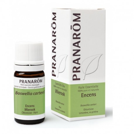 Pranarôm Essential Oil Frankincense 5 ml 5420008500800
