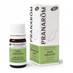 Pranarôm Huile Essentielle Inule Odorante Bio 5 ml 5420008535734