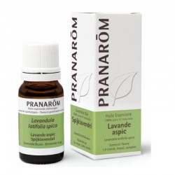 Pranarôm Huile Essentielle Lavande Aspic 10 ml 5420008520013