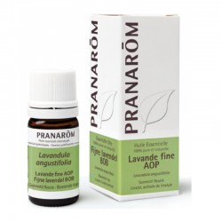 Pranarôm Huile Essentielle Lavande Fine AOP 5 ml 5420008521836
