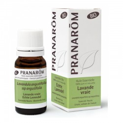 Pranarôm Essential Oil True Lavender 10 ml 5420008503467