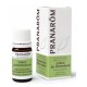 Pranarôm Huile Essentielle Lédon du Groenland 5 ml 5420008503689