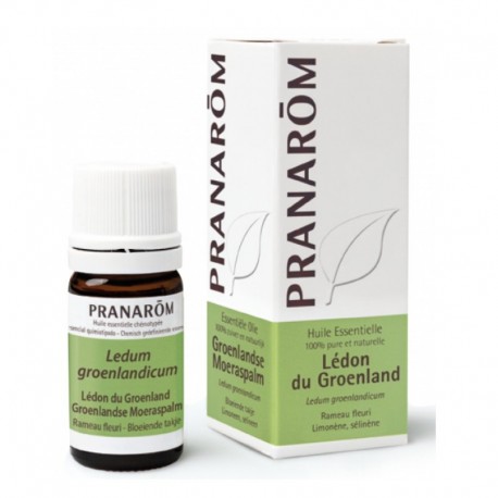 Pranarôm Huile Essentielle Lédon du Groenland 5 ml 5420008503689