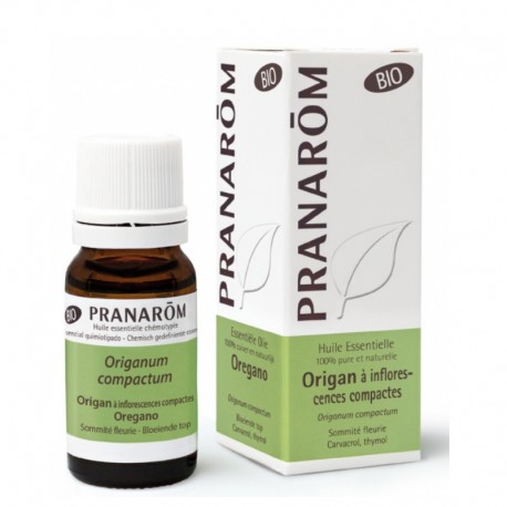 Pranarôm Huile Essentielle Origan à Inflorescences Compactes Bio 10 ml 5420008507977