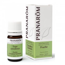 Pranarôm Huile Essentielle Pruche 5 ml 5420008540530