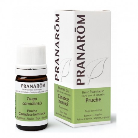 Pranarôm Huile Essentielle Pruche 5 ml 5420008540530