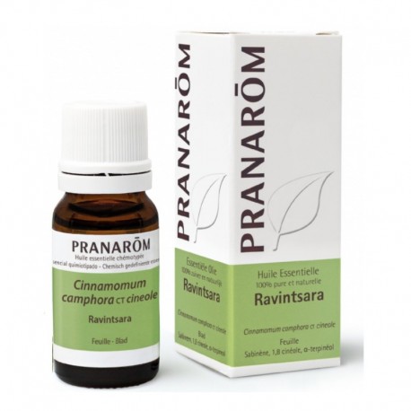Pranarôm Essential Oil Ravintsara 10 ml 5420008505454