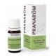 Pranarôm Essential Oil Savory Organic 5 ml 5420008505942
