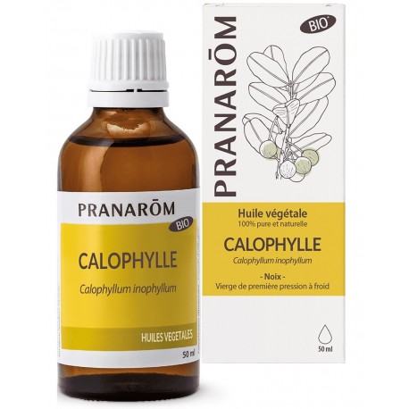 Pranarôm Huile Végétale Calophylle 50 ml 5420008596766
