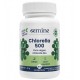 Oemine Chlorella 500 60 Gélules 3760099171902