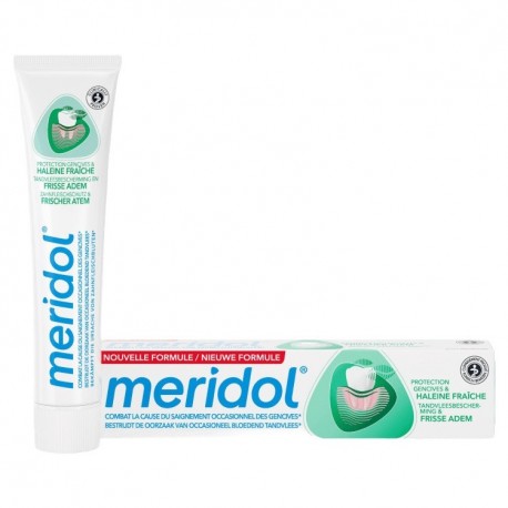 Meridol Protection Gum & Fresh Breath Toothpaste 75 ml 8718951412378