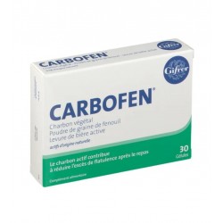 Gifrer Carbofen 30 Gélules 3401551378094