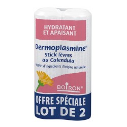 Boiron Dermoplasmine Sticks Lèvres au Calendula 2 x 4 g 3352712007929