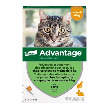 Advantage 40 Chat et Lapin 6 Pipettes 4007221036623