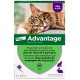 Advantage 80 Chat et Lapin 4 Pipettes 4007221036630