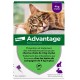 Advantage 80 Chat et Lapin 6 Pipettes 4007221036647
