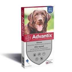 Advantix Grand Chien 4 Pipettes 4007221016700