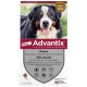 Advantix Très Grand Chien 4 Pipettes 4007221048558