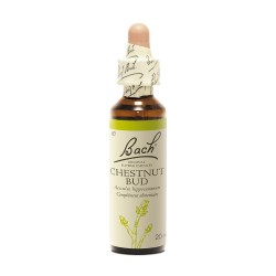 Fleurs de Bach Original Chestnut Bud 20 ml 5000488103458