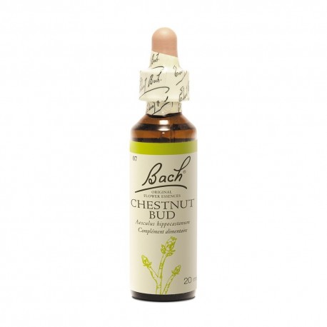 Fleurs de Bach Original Chestnut Bud 20 ml 5000488103458
