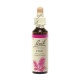 Fleurs de Bach Original Pine 20 ml 5000488103625