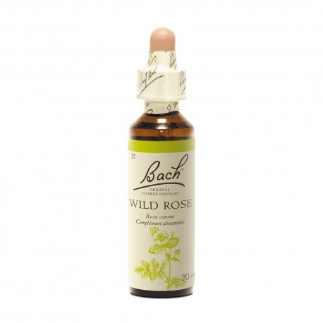 Fleurs de Bach Original Wild Rose 20 ml 5000488103755