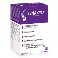 Ineldea Zenaxyl 90 Gélules