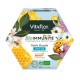 Vitaflor BioImmunité Junior Gelée Royale Bio 700 mg 14 Unicadoses 3665045000087