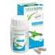 Naturactive Bamboo 60 Capsules 3700026996642