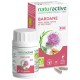 Naturactive Burdock Organic 30 Capsules 3665606001867