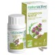 Naturactive Chardon Marie Bio 60 Gélules 3665606001607