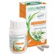 Naturactive Eucalyptus 30 Gélules 3700026996741