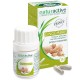 Naturactive Gingembre Bio 30 Gélules 3665606001935