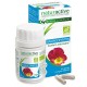 Naturactive Harpagophyton Bio 60 Gélules 3665606001126