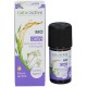Naturactive Organic Essential Oil Caraway 5 ml 3665606000068