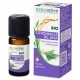 Naturactive Huile Essentielle Bio Citronnelle de Java 10 ml 3665606000747