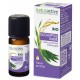 Naturactive Organic Essential Oil Radiata Eucalyptus 10 ml 3665606000013