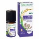 Naturactive Organic Essential Oil Thymol Thyme 5 ml 3665606000181