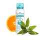 Puressentiel Circulation Spray Tonique Express 100 ml 3401599289857