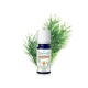 Puressentiel Huile Essentielle Cèdre de l’Atlas Bio 5 ml 3401560104721