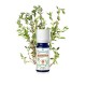 Puressentiel Huile Essentielle Thym à Linalol Bio 5 ml 3401599455061