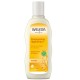 Weleda Shampooing Régénérant à l'Avoine 190 ml 3596205152158