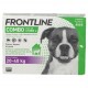 Frontline Combo Spot-On Chien L 20-40Kg 4 Pipettes 3661103047193