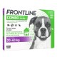 Frontline Combo Spot-On Chien L 20-40Kg 6 Pipettes  3661103005919